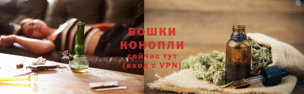 дживик Зеленокумск